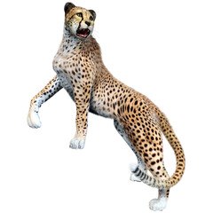 3D Rendering Big Cat Cheetah on White