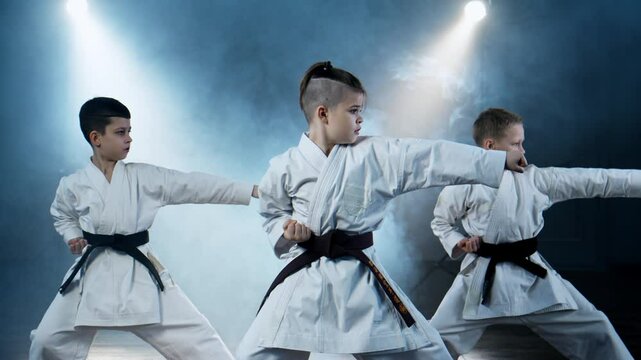 Boys during practice karate. Children learning Japanese martial arts. Karate kata. Group of young boys wearing karate uniforms. Focused and disciplined. Sport concept. 4K, UHD