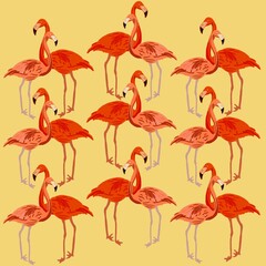 seamless pattern of flamingos