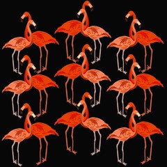 Obraz premium flamingos in the water