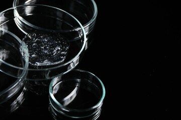 Petri dishes with samples on black mirror surface, space for text