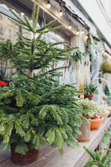 Festive Christmas Tree with Ornaments and Garland in Outdoor Market
