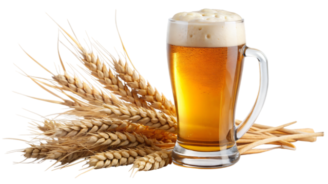 A glass of beer with foam, bubbles and wheats, showing a cold refreshing drink