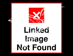 Vector de colibrí en blanco y negro