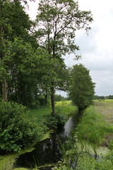 The photo captures a small stream winding through a landscape of green, lush trees. The water is gently flowing, reflecting the vibrant foliage above. 