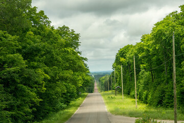 road in the forest