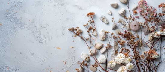 Obraz premium Front view background featuring dry flowers natural stones and a copy space image suitable for showcasing new eco friendly cosmetic products