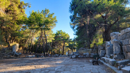 A park with tall trees and stones from the ancient era
