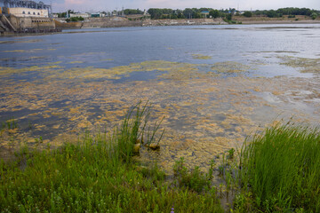 A river with green water