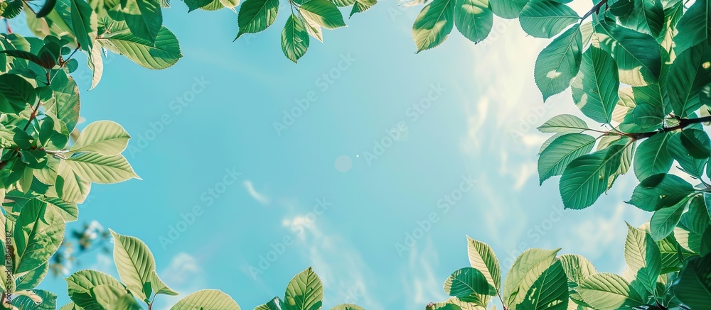 Sticker frame of green leaves against a blue sky with copy space image in the middle for text