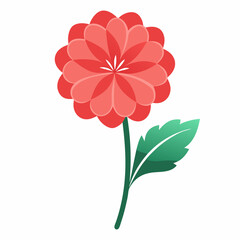 Geranium flower vector illustration 