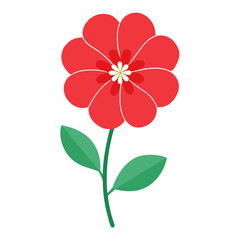 Geranium flower vector illustration 