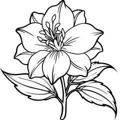 Line art of Delphinium flower