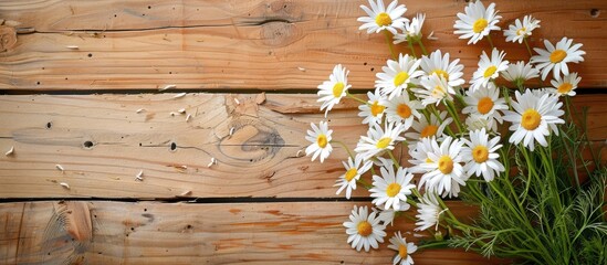 Obraz premium Chamomile daisies arranged beautifully on a wooden table backdrop perfect for adding text or other elements in the copy space image