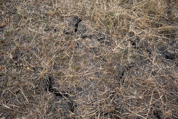 The soil with cracks due to dryness