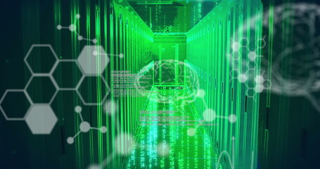 Image of scientific data processing and brains over computer servers