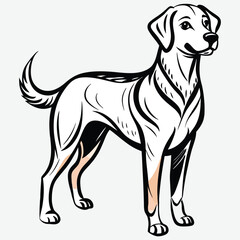 Cute animal Dog Vector Royalty-Images