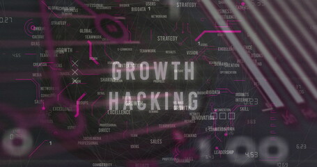 Image of growth hacking text, infographic interface, multiple words on globe on black background