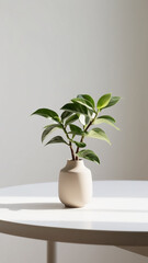 Minimalistic Small Plant in a Vase
