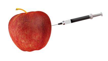 GMO: A damaged and wrinkled apple is injected with a syringe of Botox or hyaluronic acid and plumped up, a metaphor for cosmetic surgery to restore youth to the skin of the face, with Alpha Channel
