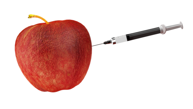 GMO: A damaged and wrinkled apple is injected with a syringe of Botox or hyaluronic acid and plumped up, a metaphor for cosmetic surgery to restore youth to the skin of the face, with Alpha Channel - Powered by Adobe