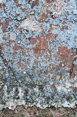 Texture of old rustic wall covered with gray and blue stucco. Multilayers of old paint on the wall....