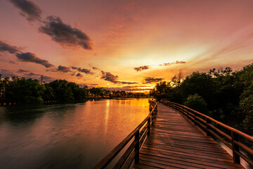 Fototapeta premium Close-up view of the natural background of the wooden bridge, which is surrounded by mangrove forests, colorful leaves of the leaves, blown through the blurred coolness during ecological travel.