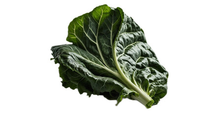 Fresh collard green leaf with prominent veins on white background