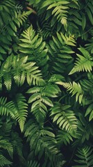 photo of green fern plant wallpaper - generative ai