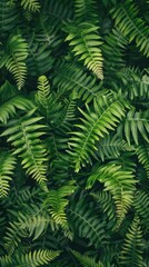 photo of green fern plant wallpaper - generative ai