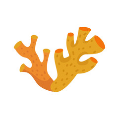 Ocean Coral. Vector Illustration