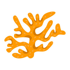 Obraz premium Ocean Coral. Vector Illustration
