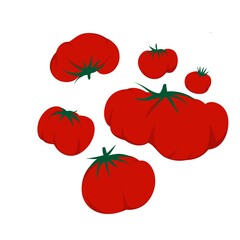 Tomato Illustration