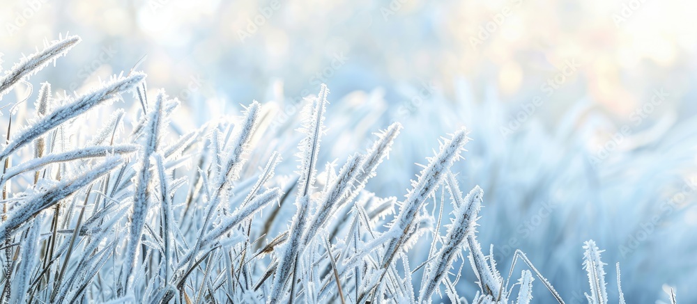 Aufkleber winter frost decorating grass in the background of a copy space image.