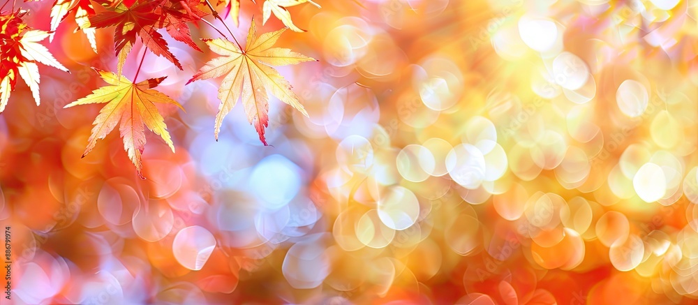 Aufkleber blurred, colorful maple leaves in autumn create a vibrant copy space image.
