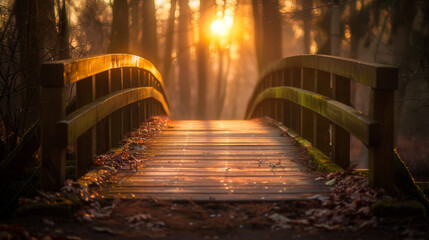 Low angle of a wooden bridge in a forest, with the sun setting behind, symbolizing a path through nature