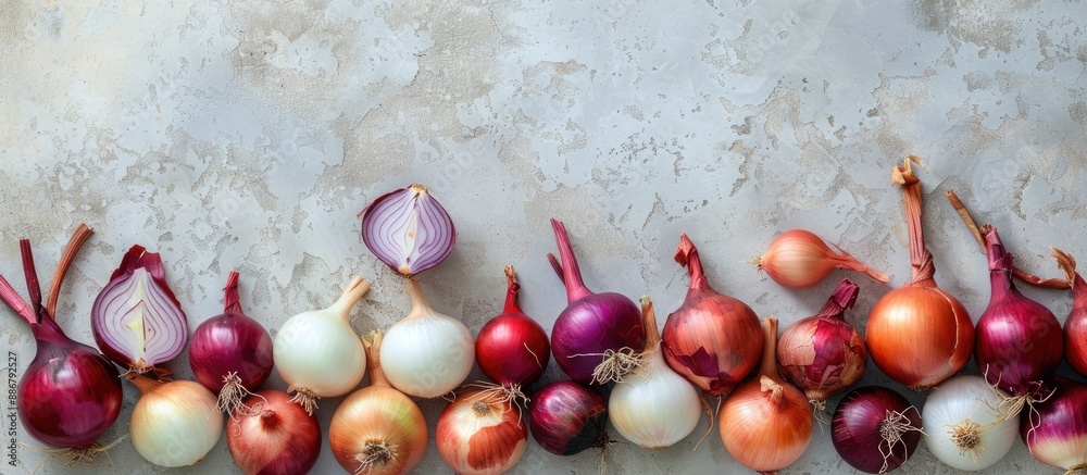 Poster A variety of onions arranged on a gray concrete surface with available copy space image.