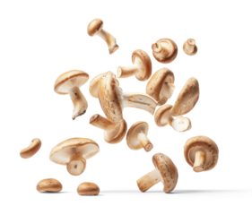 Mushrooms flying through the air isolated on white background