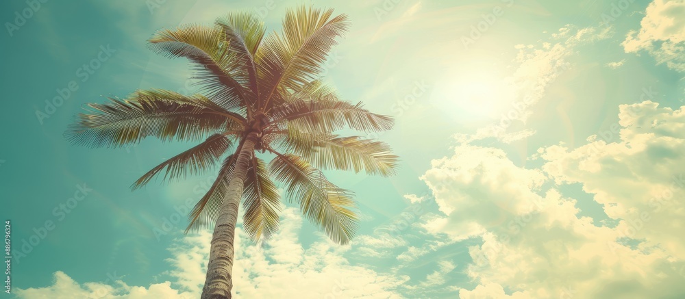 Poster vintage toned image of a tropical palm tree with sunlight against a sky backdrop, creating a serene 