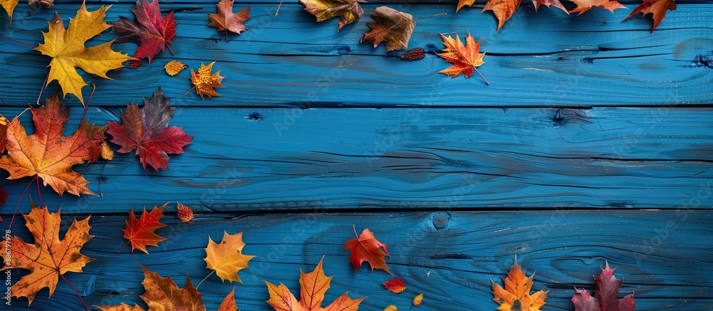 Poster rustic blue wooden table adorned with vibrant fall maple leaves, ideal for thanksgiving holidays. to