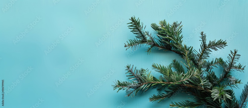 Poster A modern holiday-themed arrangement using green branches on a blue backdrop with a Christmas tree branch. Top-down view with a minimalist, pastel color scheme and ample copy space image.