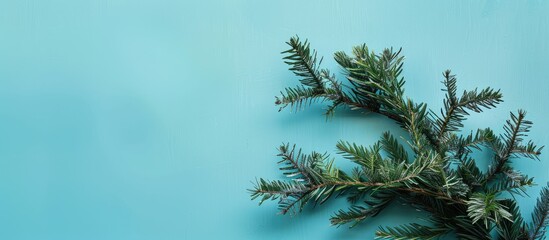 Obraz premium A modern holiday-themed arrangement using green branches on a blue backdrop with a Christmas tree branch. Top-down view with a minimalist, pastel color scheme and ample copy space image.