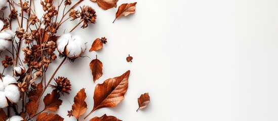 Autumn-themed arrangement with cotton flowers and dried leaves on a white background, emphasizing the fall season. Top view with ample copy space image.