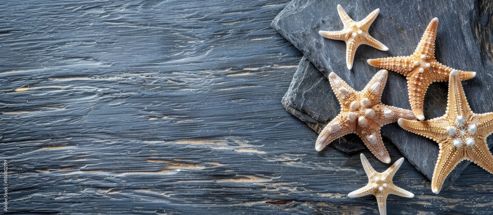 Aufkleber Flat lay composition featuring starfish on a rustic wooden surface with a blank black paper for copy space image.