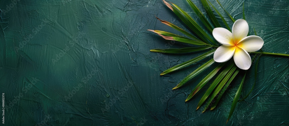 Poster dark green background with a palm leaf and plumeria frangipani flower from a top view for copy space