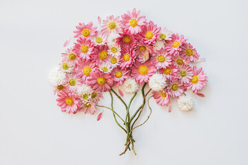floral composition, bunch of flowers, isolated, copy space