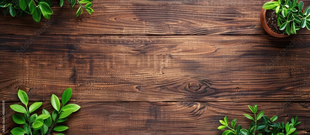 Leinwandbilder Top view of a brown wooden table as a background for a banner template layout mockup with a clear view for text or images.