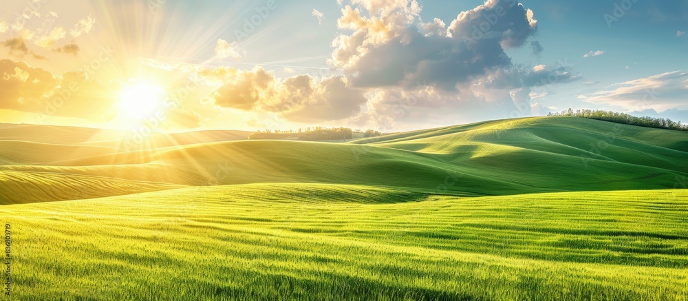Poster autumn hills with the setting sun reflecting off green wheat fields, creating a picturesque scene wi