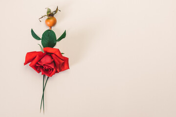 creative ideas from autumn craft, dancing ballerina figure, colorful ideas from rose flowers © katarinagondova