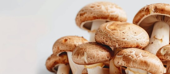 Brown champignons mushrooms displayed against a white backdrop with copy space image.